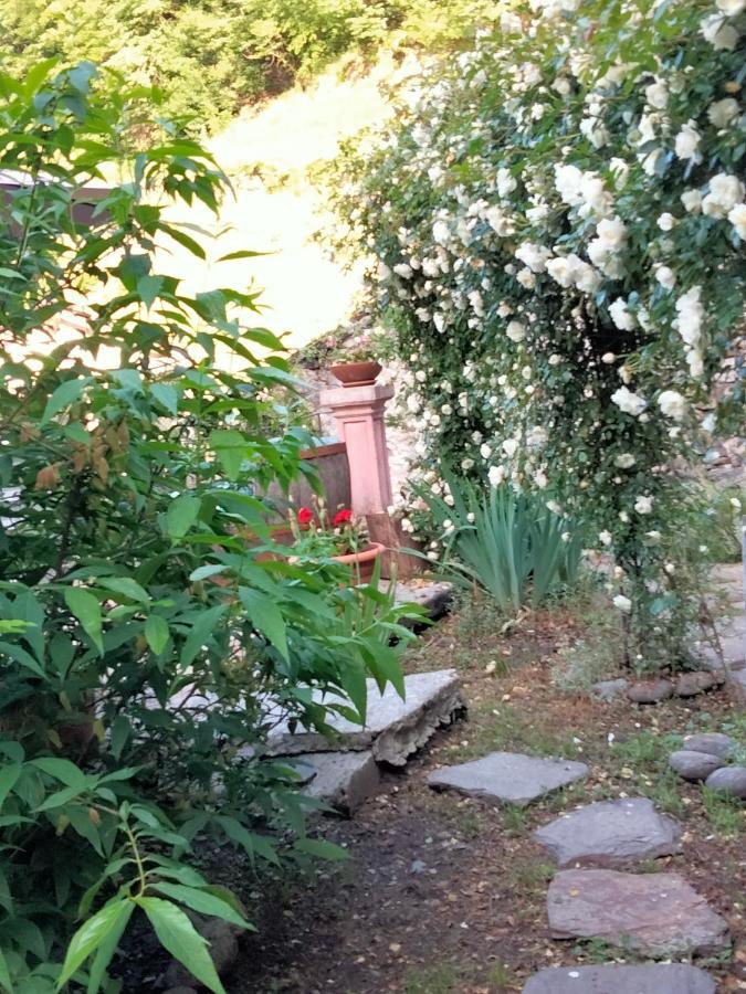 Shanty Calasca-Castiglione エクステリア 写真